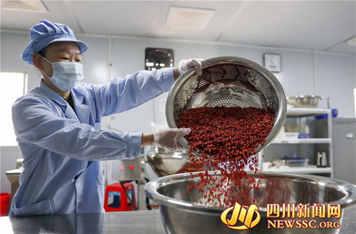 廣安鄉(xiāng)村微工廠 富硒食品生產(chǎn)忙，點(diǎn)燃鄉(xiāng)村振興新引擎